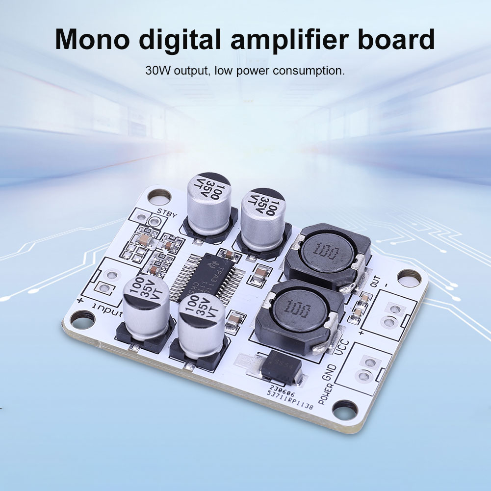 TPA3110 PBTL Single Channel Am - đánh giá và giá Best Diy Electronics Kits